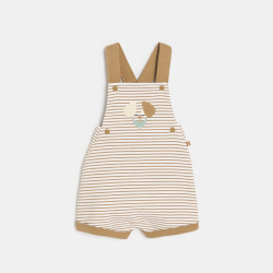 سالوبيت قصير مخطط وبودي...